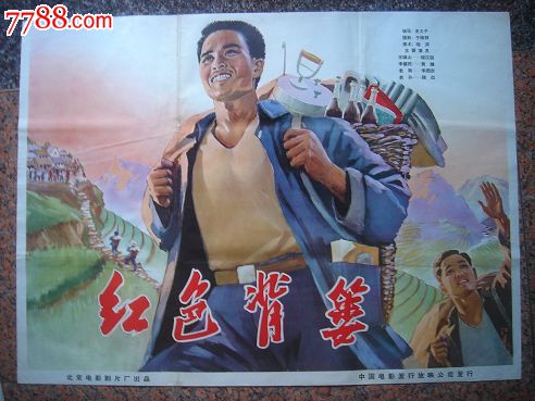 做假荷兰居留证